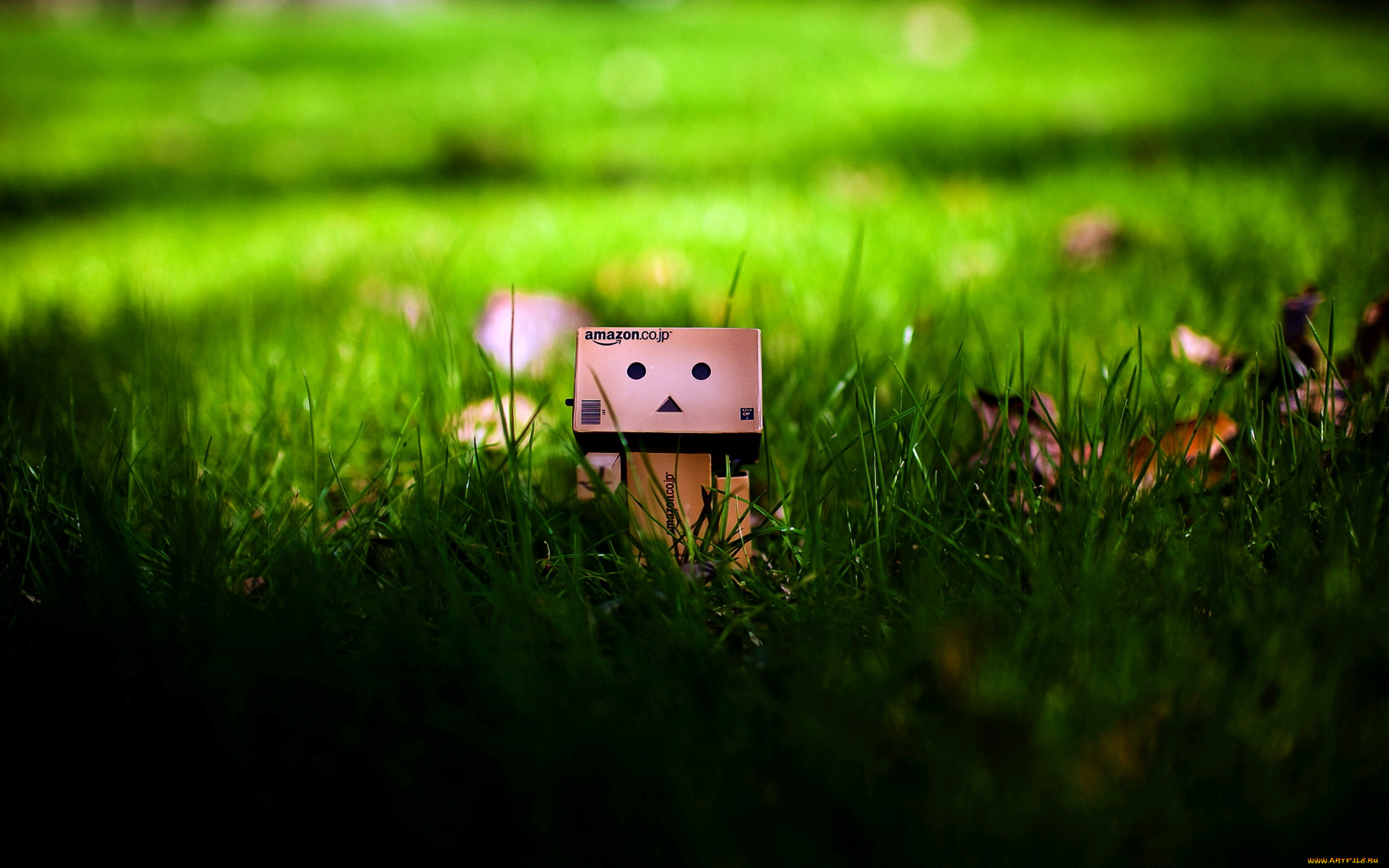 , , danboard